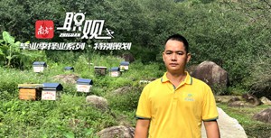 蜜蜂虐他千百遍，他却待蜂如初恋！汕尾青年返乡创业变“养蜂大王”