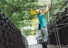 2019年第二批省级现代农业产业园建设名单公布