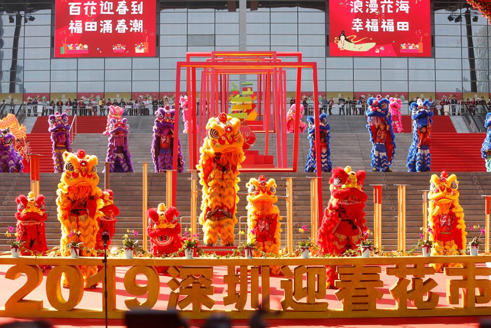 传承岭南年俗！深圳展馆内办迎春花市 时隔三年重启市级大型花市