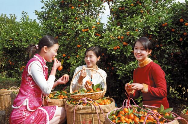 四会寻玉问禅 民俗田园之旅