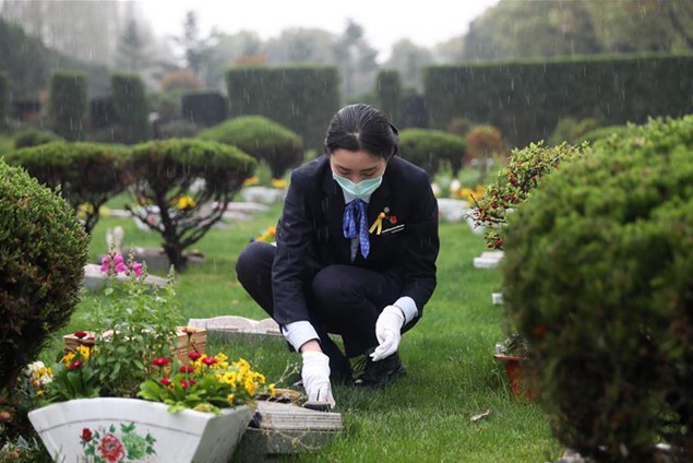 各地清明节前夕祭扫见闻