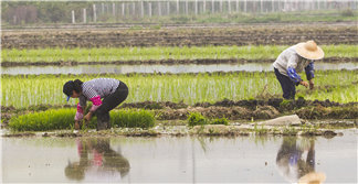 农村改革试验鼓励地方 大胆探索：批准制改为备案制