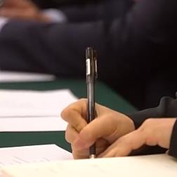 广东侨胞，到政协开会是酱紫的