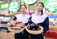 琳琅满目，网红直播卖货……第十届广东农博会开幕