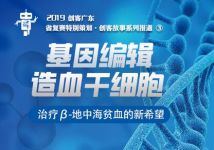 2019创客广东|基因编辑造血干细胞-治疗β-地中海贫血的新希望
