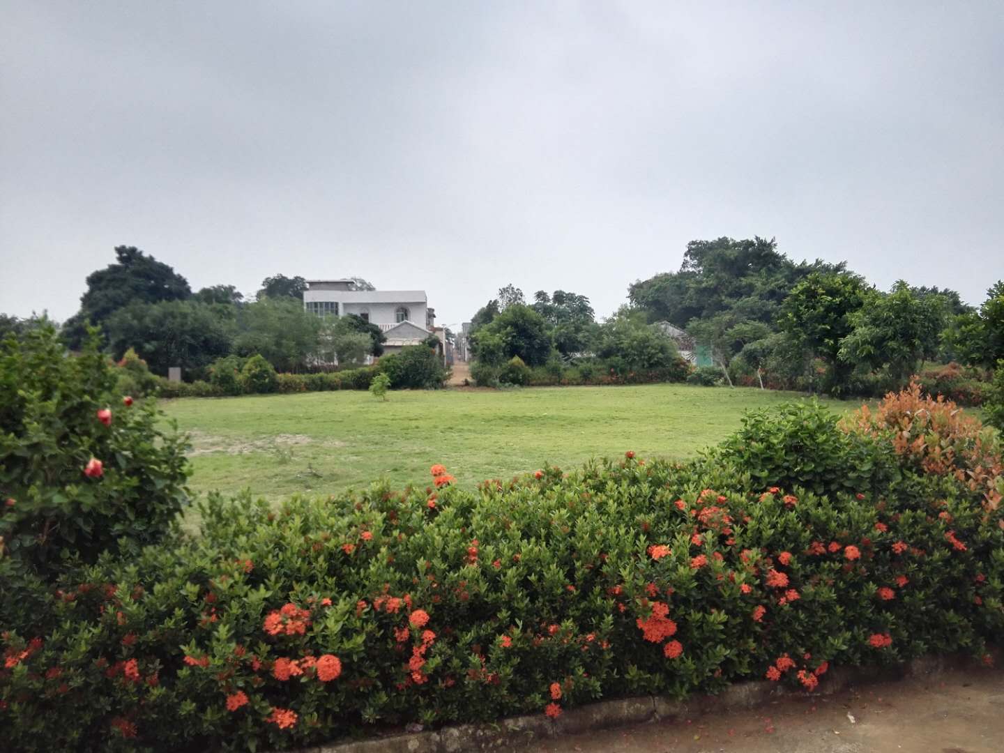 下洋镇墩尾村