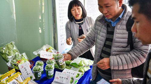 粤港澳大湾区“菜篮子”全国共享 8个配送中心开业