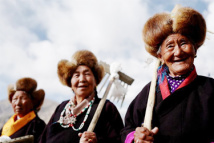 春耕第一犁：西藏农民犁开春的希望