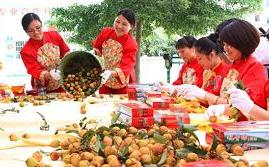 广东“给荔” 美美与共 24小时内直达全国各地消费者餐桌