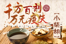 千方百剂 万无疫失——非遗抗疫之中医药名片 小柴胡:日常应用广泛 入选新冠肺炎诊疗方案 千方百剂 万无疫失——非遗抗疫之中医药名片 小柴胡:日常应用广泛 入选新冠肺炎诊疗方案
