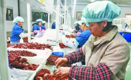 靠自己勤劳致富 让孩子走出大山