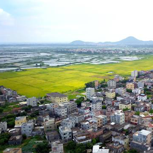 粤西这面“边海红旗”引领脱贫决战