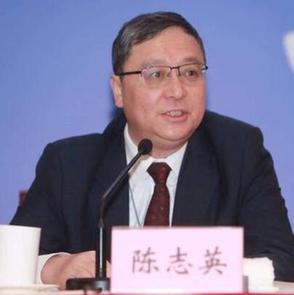 陈志英：与深圳加快推进首批合作项目建设