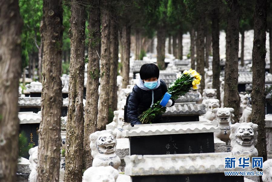 （社会）（1）清明代祭寄哀思