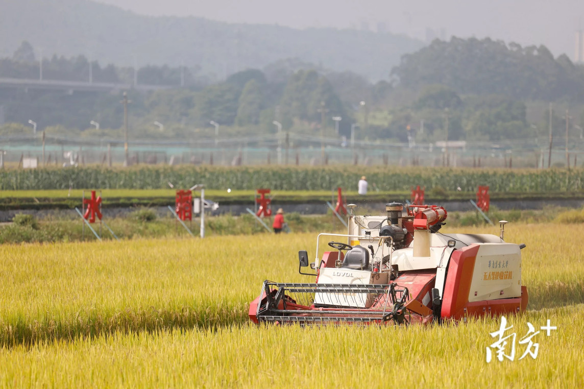 Tech realizes the dream of self-sufficient farms in Guangzhou