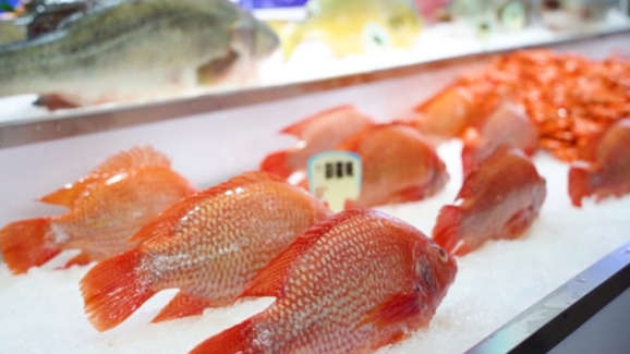 Aquaculture Expo in Zhanjiang aims to share Chinese aquatic products with the world