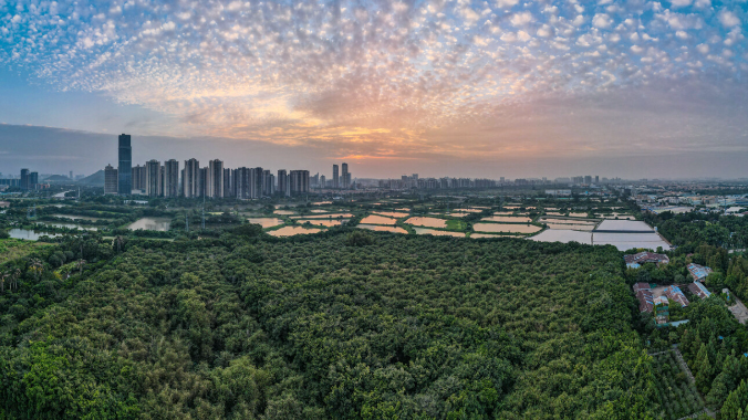 广东一地宣布：国庆长假，机关大院免费停车、机关食堂开放！