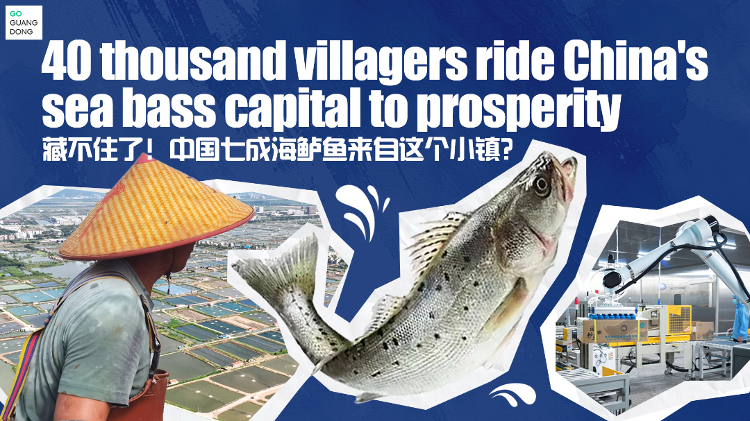 40 thousand villagers ride China's sea bass capital to prosperity