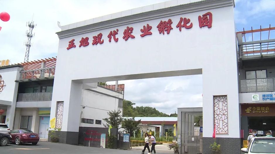 广东省城乡融合典型案例：广州市增城区打造农业科技成果孵化平台和快速转化通道 支撑乡村振兴