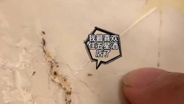 五星级酒店被曝“浴缸有虫”等问题！店方称每天都检查