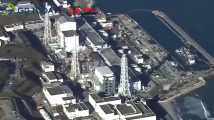 真探|日本排核污水是否真经过“权威”验证? 真探|日本排核污水是否真经过“权威”验证?