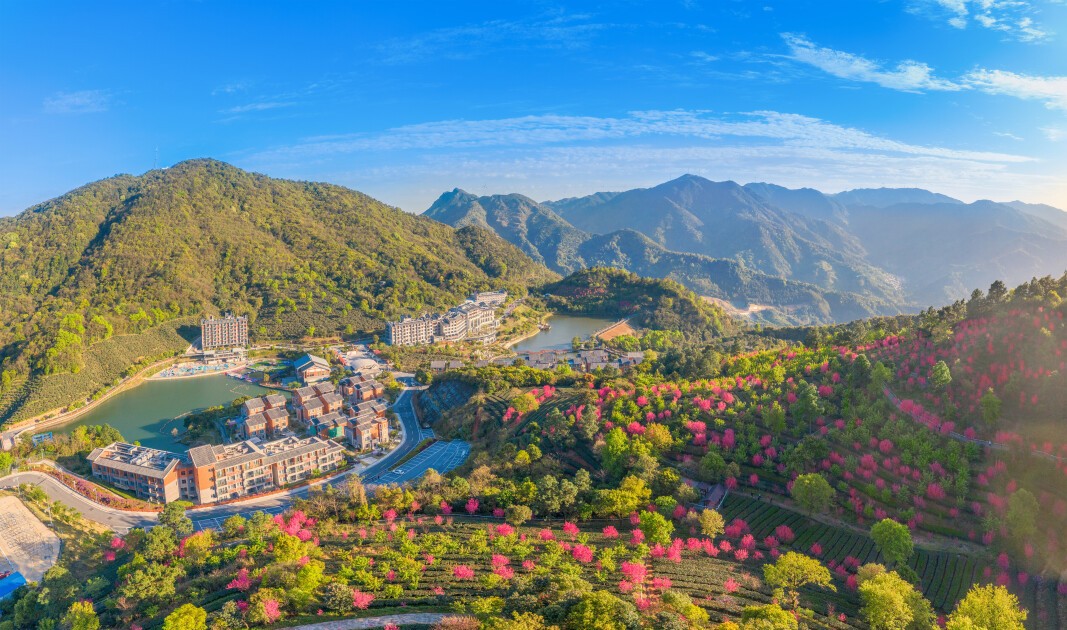 智库观察丨何以新兴