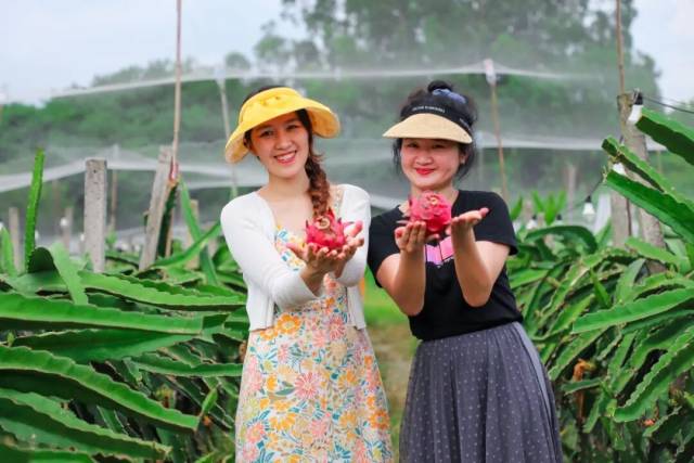 ▲鲤鱼洲游玩项目 ▲鲤鱼洲游玩项目