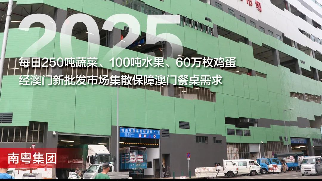 南粤集团：从“生命线”到“菜篮子”，守护澳门万家烟火
