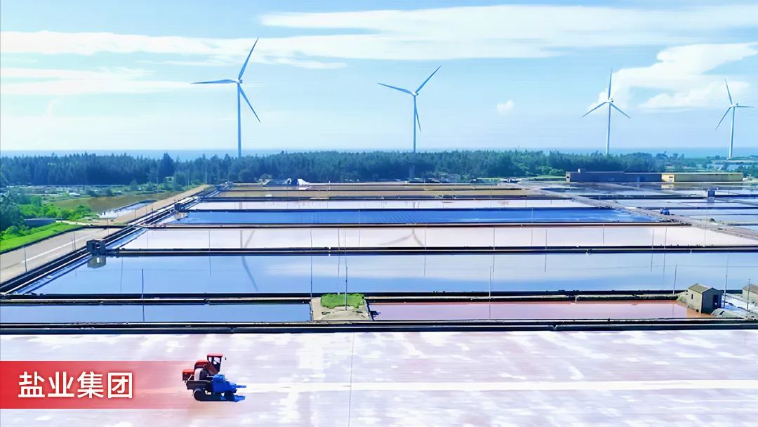 盐业集团：从单一食盐到全系列调味品，打造中国厨房新滋味