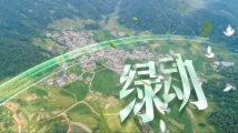 动感·广东——从春天出发,向胜利进军 动感·广东——从春天出发,向胜利进军