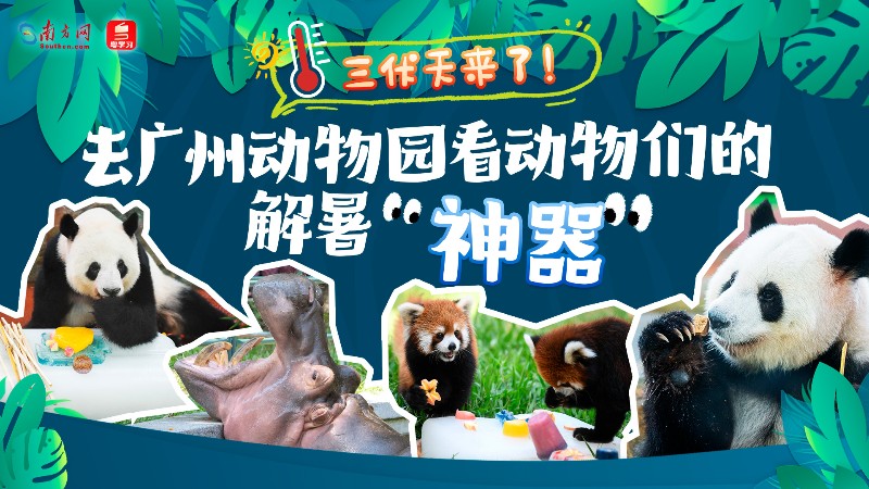 三伏天来了！去广州动物园看动物们的解暑“神器”