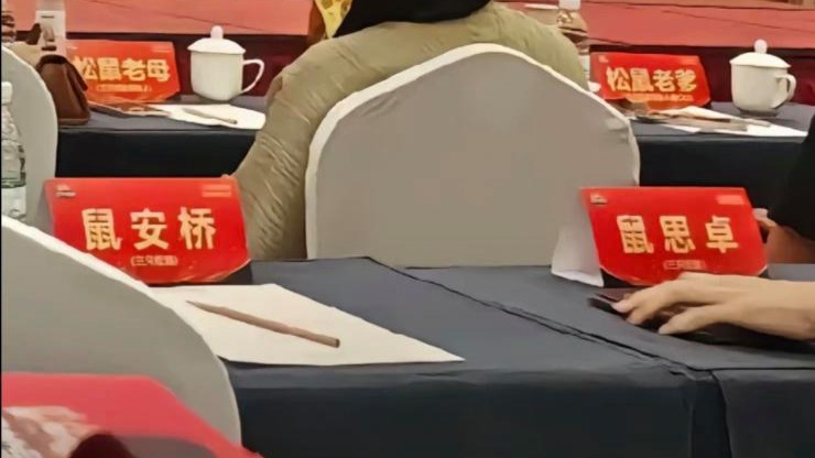 如果可以，我不想做“鼠辈”