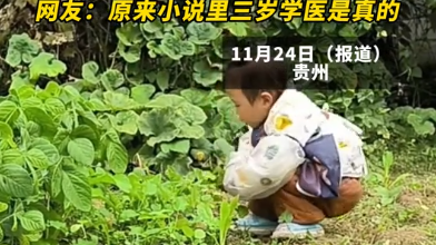 3岁宝宝“生下来就爱认药材”，一尝一品，对答如流！