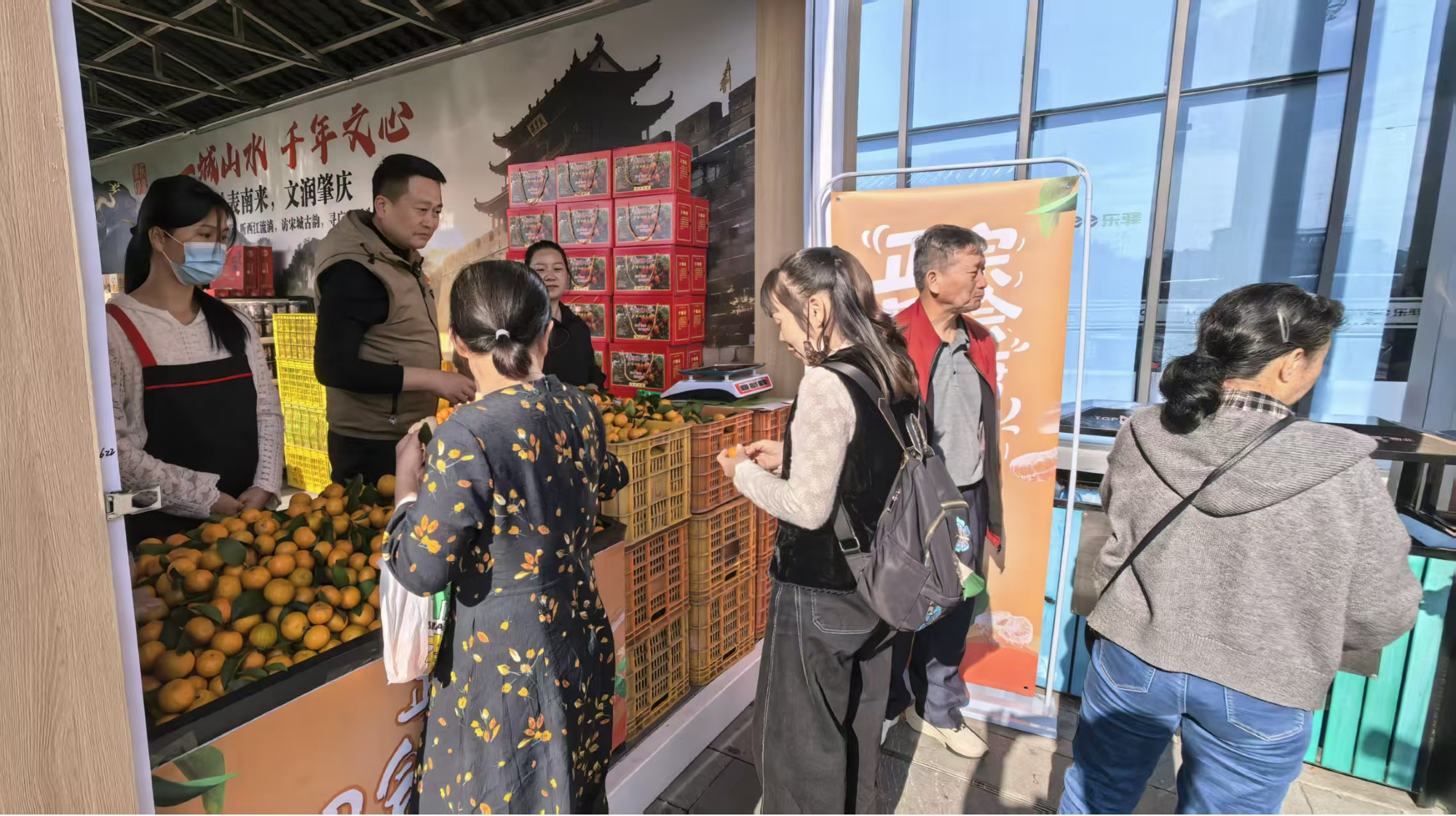 旅客在挑选沙糖桔