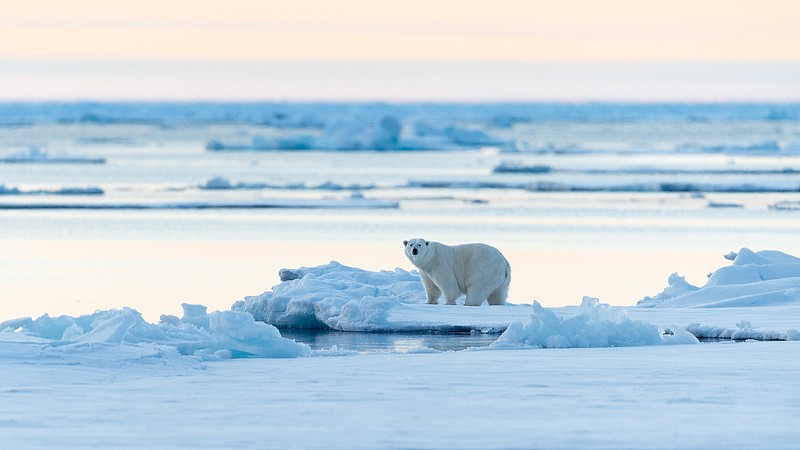 北极气温再创新高 为1900年以来最高值