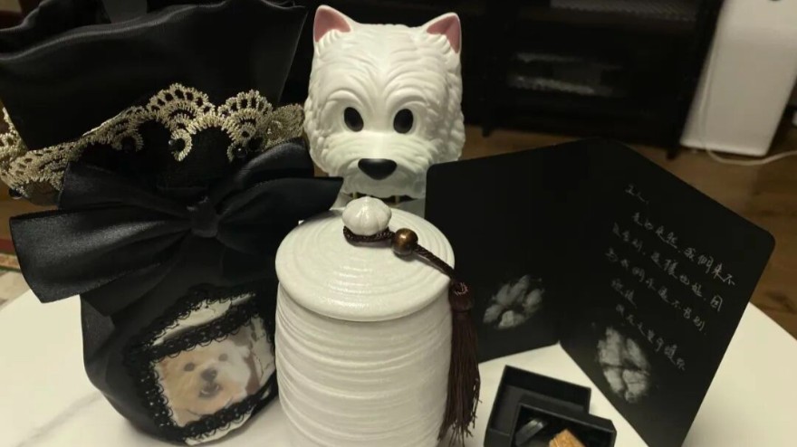 毒死11只猫狗，一审被判4年