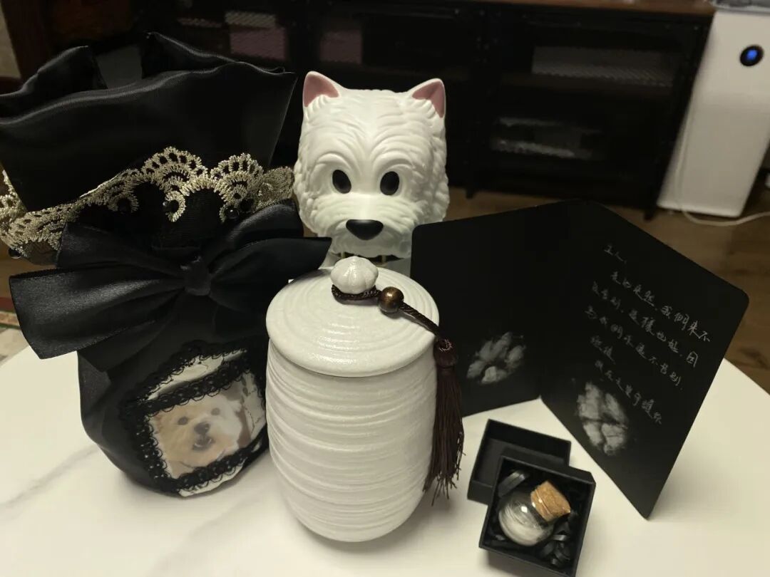 李依涵(化名)为宠物狗Papi布置的纪念角落。受访者供图