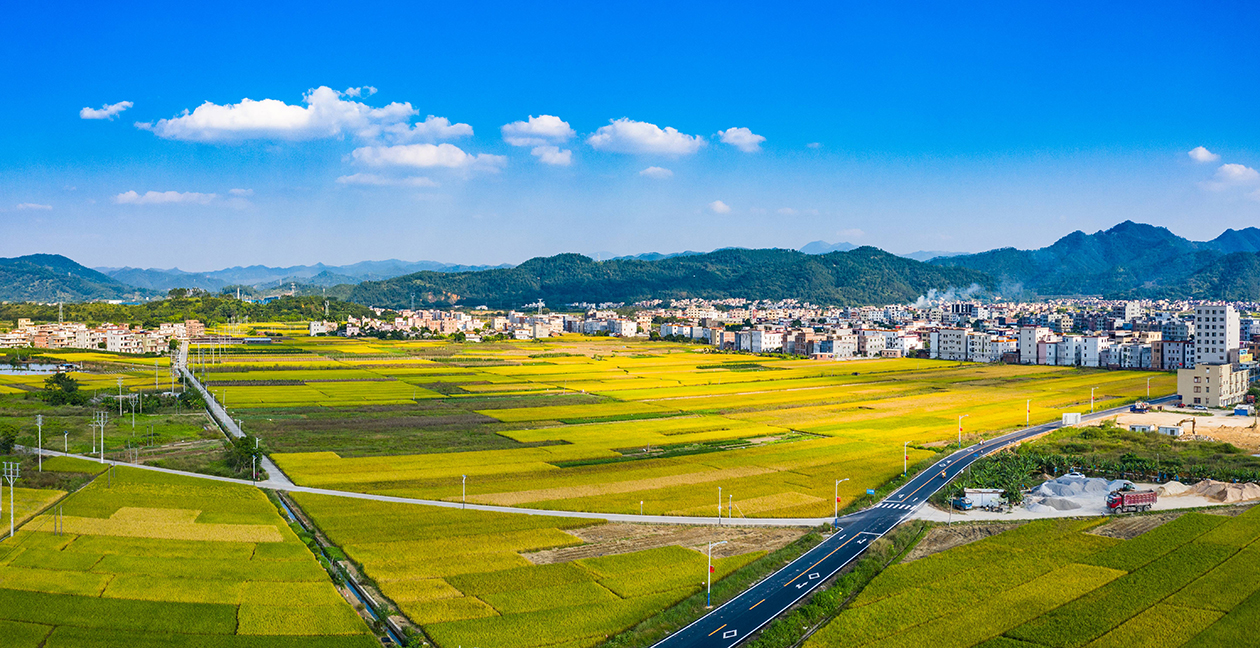 新兴县坚持查改治一体推进 推动养老服务提质增效