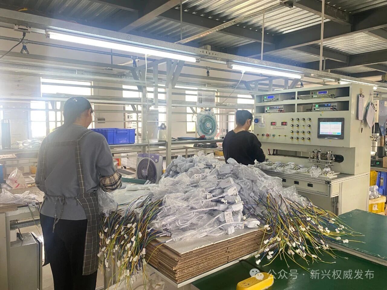 聚焦高质量发展丨一家电缆企业的“迁徙”与成长——顺德-新兴纵向帮扶助力企业落地生根稳健发展