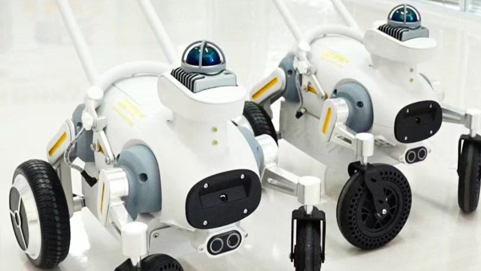 Smart guide dog debuts at China's National Games for Persons with Disabilities