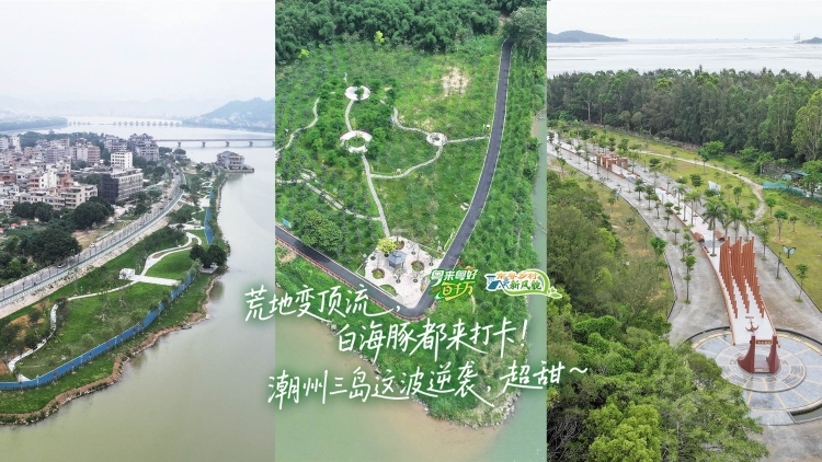荒地变顶流，白海豚都来打卡！潮州三岛这波逆袭，超甜～｜粤来粤好百千万