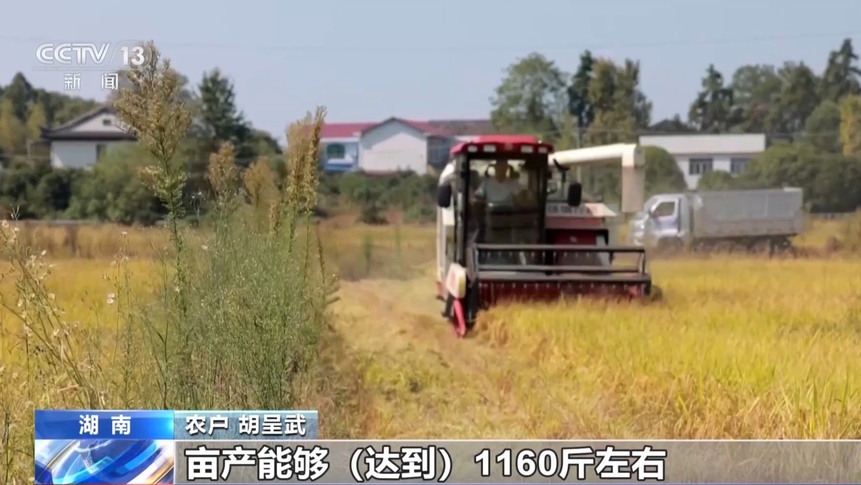 一大批农产品正走向你的餐桌！全国秋粮收获近四成