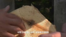 小雪丨莞香是怎么来的?国家级非遗传承人带你解谜 小雪丨莞香是怎么来的?国家级非遗传承人带你解谜