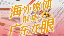 广东龙眼名扬海内外,超200家海外媒体大饱“眼”福 广东龙眼名扬海内外,超200家海外媒体大饱“眼”福