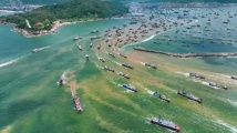 阳江携手院士团队打造现代化海洋牧场示范项目 阳江携手院士团队打造现代化海洋牧场示范项目