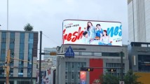 广东荔枝×韩国首尔,一波清新时尚style 广东荔枝×韩国首尔,一波清新时尚style