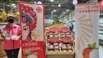 惊艳!广东“荔枝花旦”亮相马来西亚 惊艳!广东“荔枝花旦”亮相马来西亚
