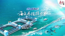 5年内全面建成“蓝色粮仓”,广东海产养殖走向“深蓝” 5年内全面建成“蓝色粮仓”,广东海产养殖走向“深蓝”