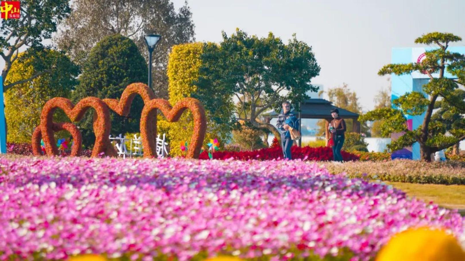 China (Zhongshan) Flower & Tree Industry Conference 2024 to bloom in November