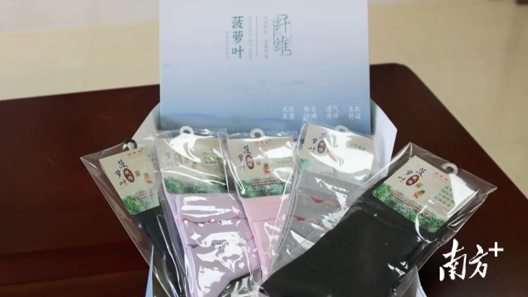 Pineapple leaves turn into fabrics in Zhanjiang